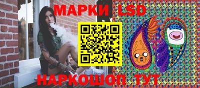индика Гусь-Хрустальный