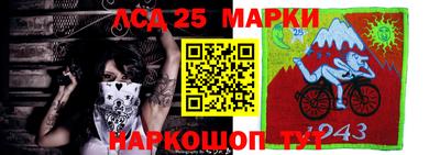 индика Гусь-Хрустальный