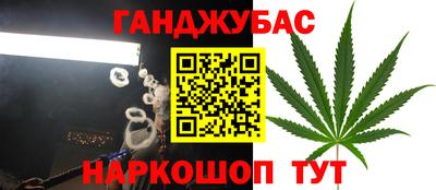 тгк Гусев